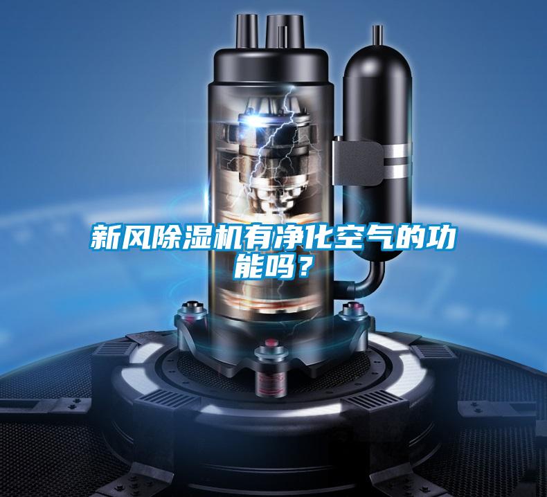 新風(fēng)除濕機(jī)有凈化空氣的功能嗎？