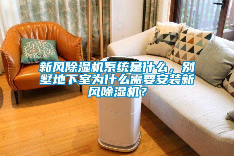 新風除濕機系統(tǒng)是什么，別墅地下室為什么需要安裝新風除濕機？