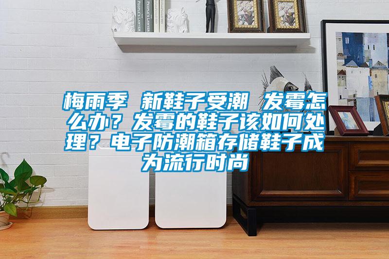 梅雨季 新鞋子受潮 發(fā)霉怎么辦？發(fā)霉的鞋子該如何處理？電子防潮箱存儲(chǔ)鞋子成為流行時(shí)尚
