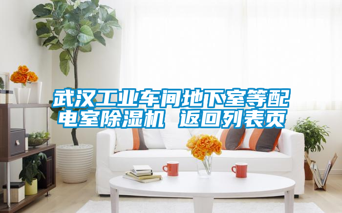 武漢工業(yè)車間地下室等配電室除濕機(jī) 返回列表頁(yè)