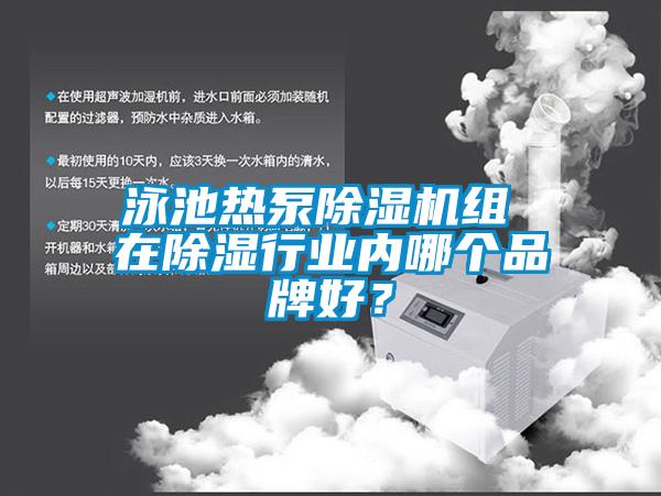 泳池?zé)岜贸凉駲C(jī)組 在除濕行業(yè)內(nèi)哪個(gè)品牌好？