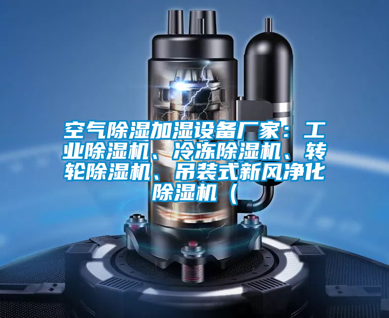 空氣除濕加濕設(shè)備廠家：工業(yè)除濕機、冷凍除濕機、轉(zhuǎn)輪除濕機、吊裝式新風凈化除濕機（