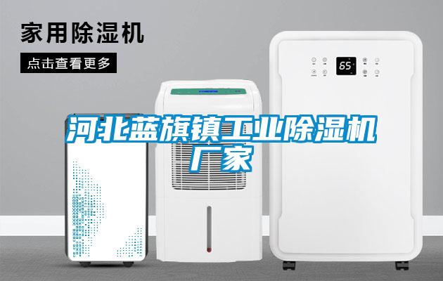 河北藍(lán)旗鎮(zhèn)工業(yè)除濕機(jī)廠家