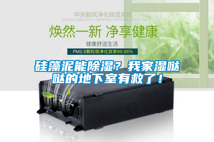 硅藻泥能除濕？我家濕噠噠的地下室有救了！