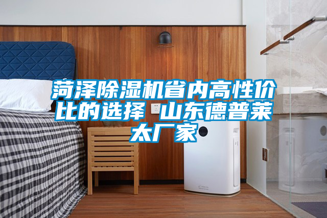 菏澤除濕機(jī)省內(nèi)高性價比的選擇 山東德普萊太廠家