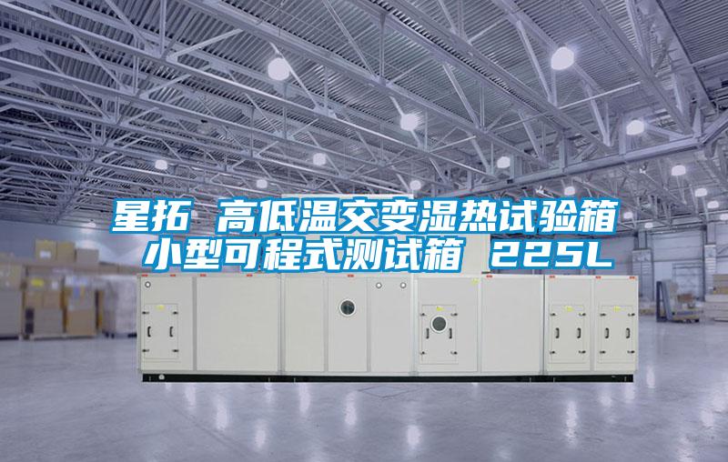 星拓 高低溫交變濕熱試驗(yàn)箱 小型可程式測(cè)試箱 225L