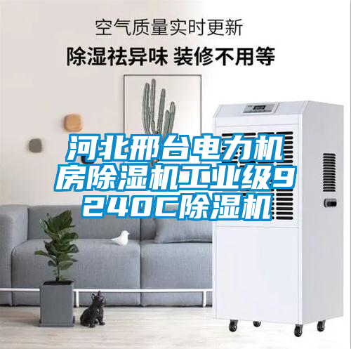 河北邢臺電力機(jī)房除濕機(jī)工業(yè)級9240C除濕機(jī)