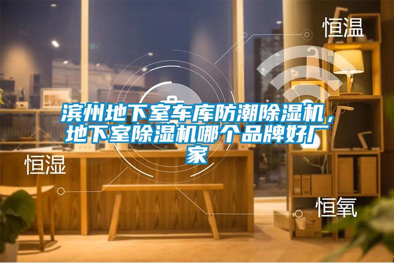 濱州地下室車庫防潮除濕機(jī)，地下室除濕機(jī)哪個品牌好廠家