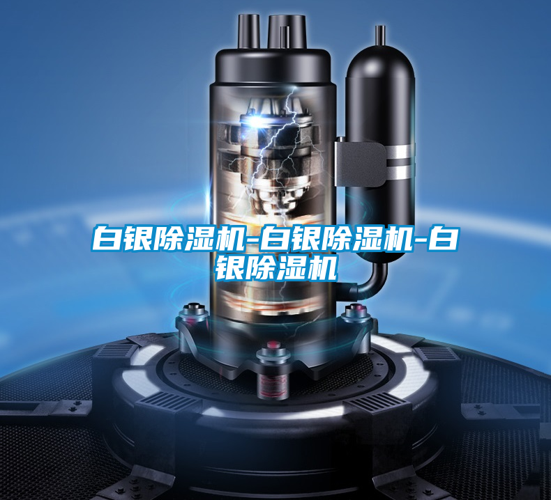 白銀除濕機(jī)-白銀除濕機(jī)-白銀除濕機(jī)