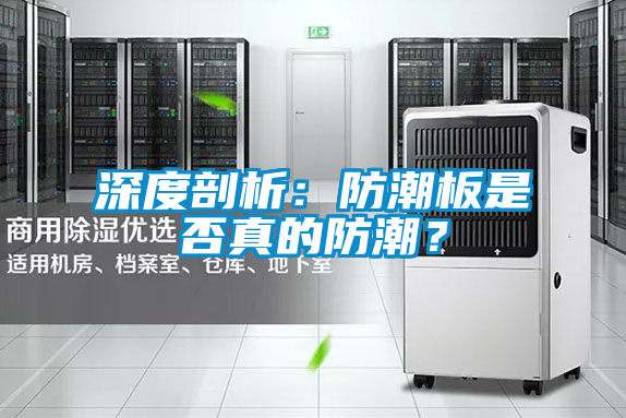 深度剖析：防潮板是否真的防潮？