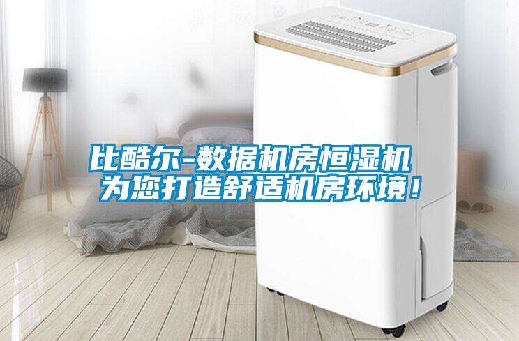 比酷爾-數(shù)據(jù)機(jī)房恒濕機(jī) 為您打造舒適機(jī)房環(huán)境！