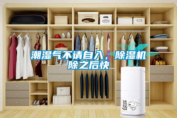 潮濕氣不請(qǐng)自入，除濕機(jī)除之后快