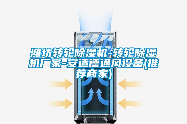 濰坊轉(zhuǎn)輪除濕機-轉(zhuǎn)輪除濕機廠家-安適德通風設(shè)備(推薦商家)