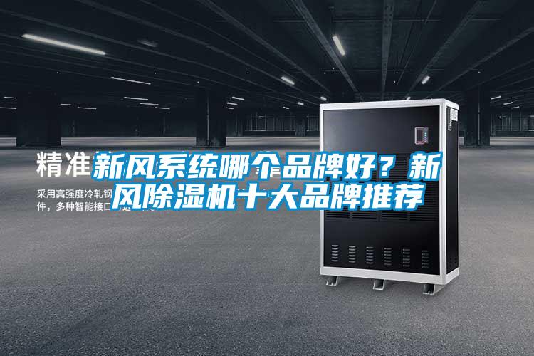 新風系統(tǒng)哪個品牌好？新風除濕機十大品牌推薦