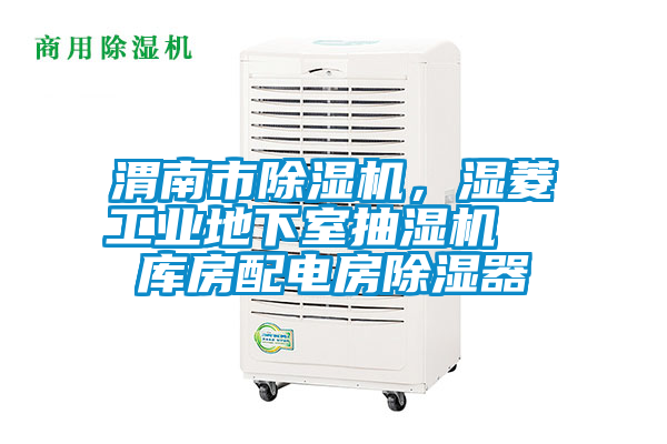 渭南市除濕機，濕菱工業(yè)地下室抽濕機  庫房配電房除濕器