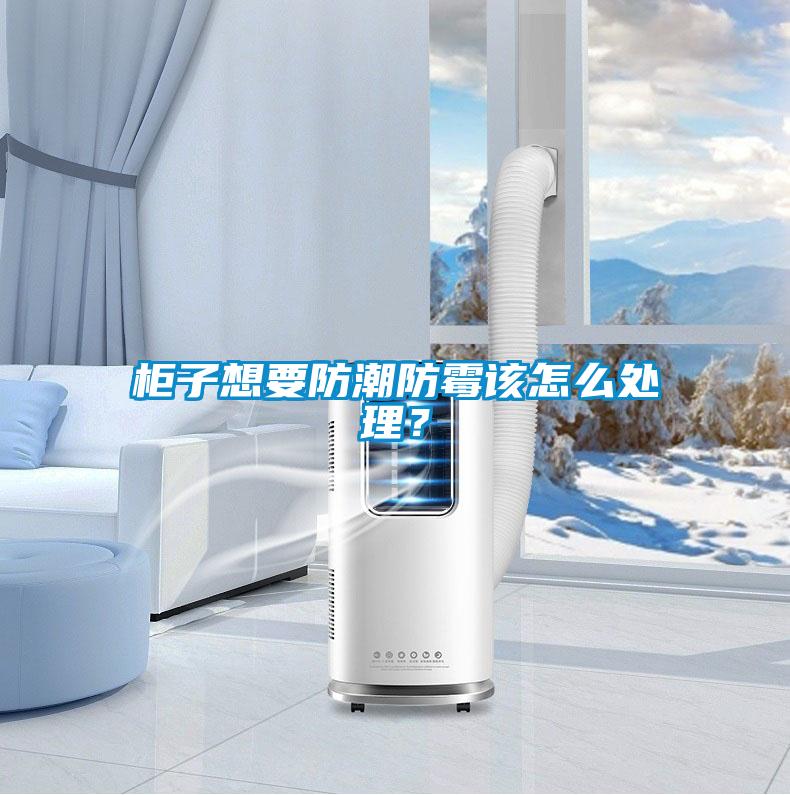 柜子想要防潮防霉該怎么處理？