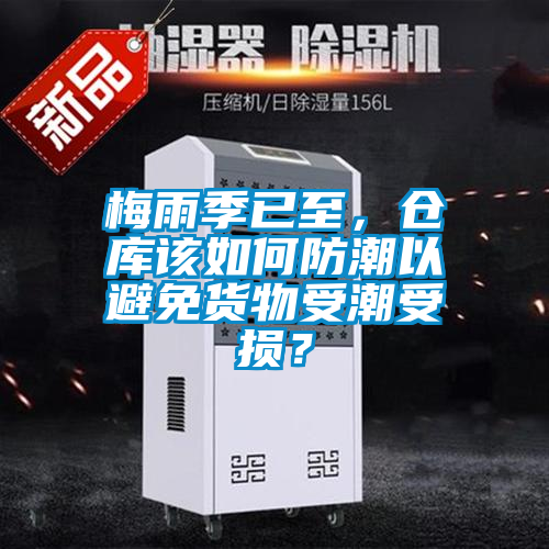 梅雨季已至，倉庫該如何防潮以避免貨物受潮受損？