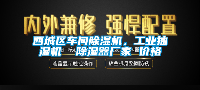 西城區(qū)車間除濕機(jī)，工業(yè)抽濕機(jī)  除濕器廠家 價格