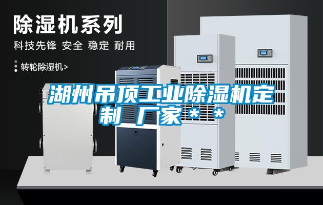 湖州吊頂工業(yè)除濕機定制 廠家＊＊