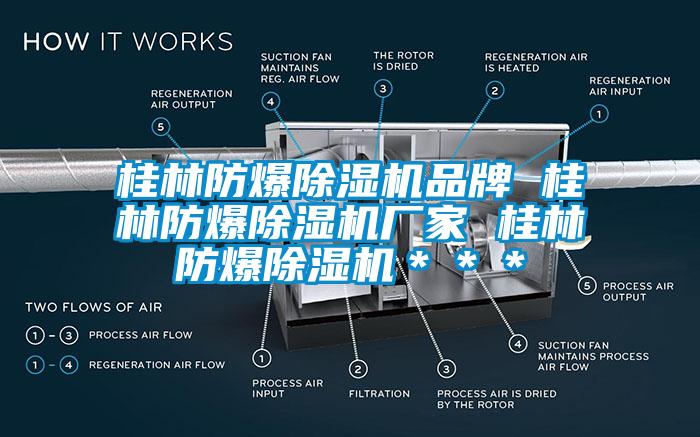桂林防爆除濕機(jī)品牌 桂林防爆除濕機(jī)廠家 桂林防爆除濕機(jī)＊＊＊