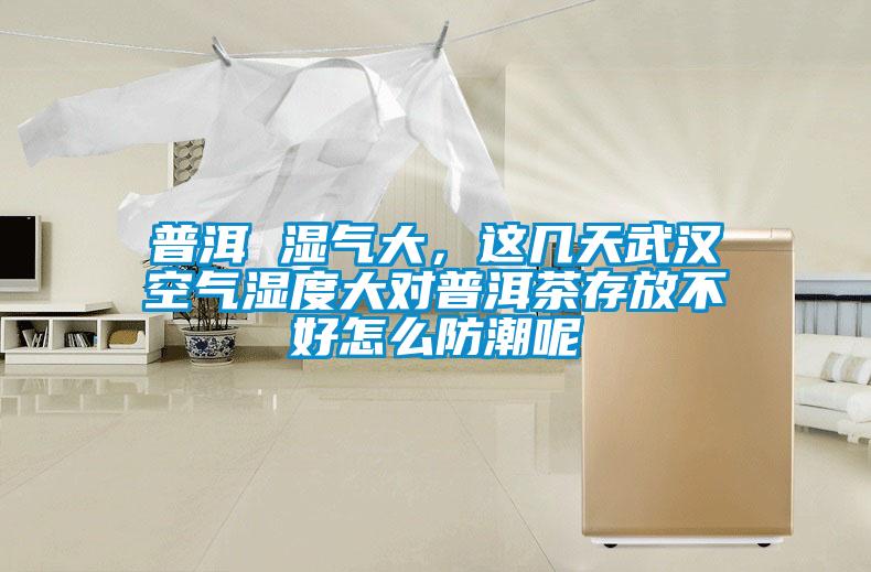 普洱 濕氣大，這幾天武漢空氣濕度大對(duì)普洱茶存放不好怎么防潮呢