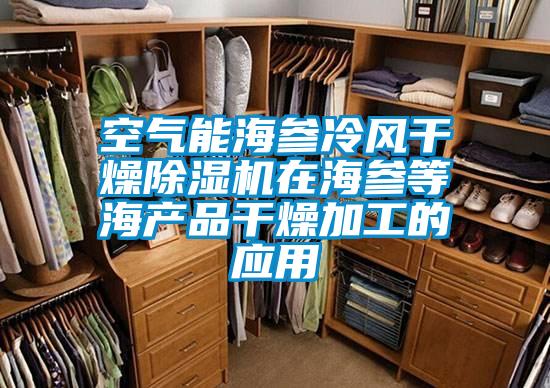 空氣能海參冷風干燥除濕機在海參等海產(chǎn)品干燥加工的應用