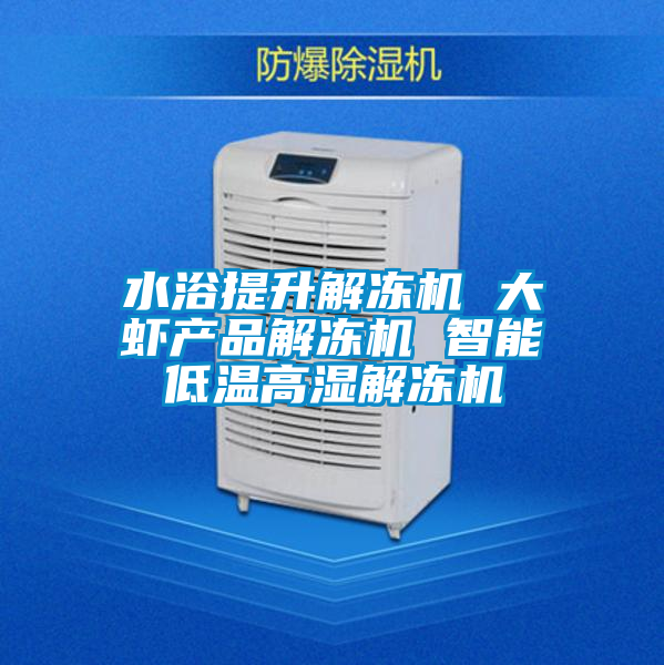 水浴提升解凍機(jī) 大蝦產(chǎn)品解凍機(jī) 智能低溫高濕解凍機(jī)