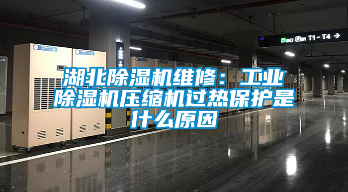 湖北除濕機維修：工業(yè)除濕機壓縮機過熱保護是什么原因