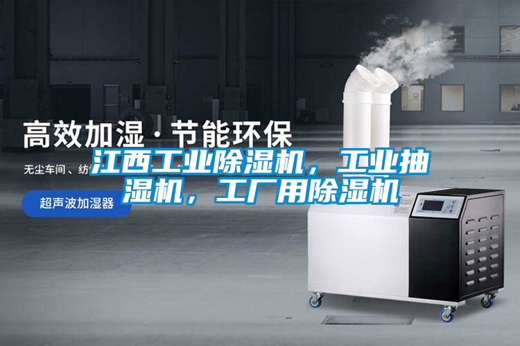 江西工業(yè)除濕機(jī)，工業(yè)抽濕機(jī)，工廠用除濕機(jī)