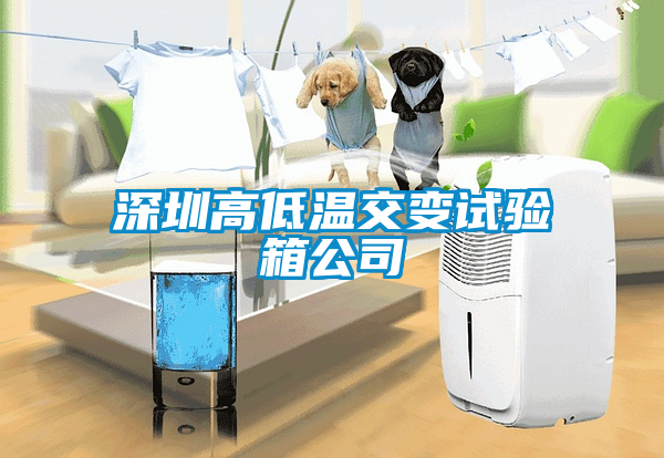 深圳高低溫交變?cè)囼?yàn)箱公司