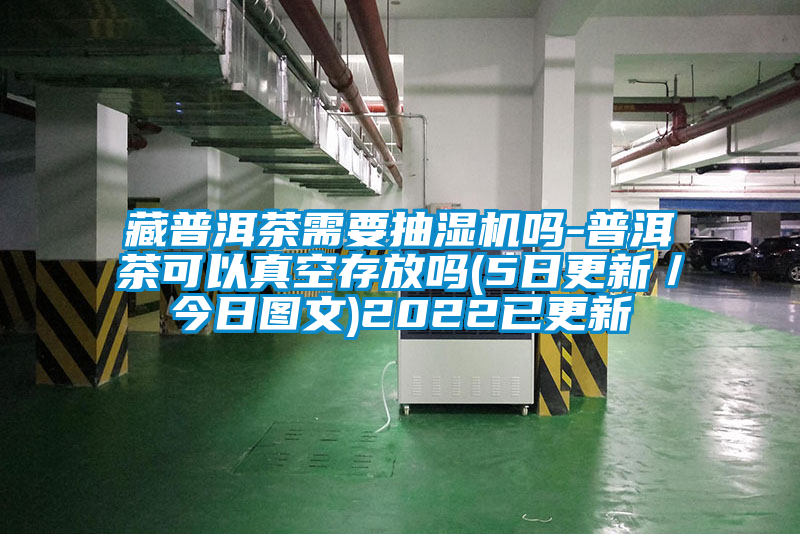 藏普洱茶需要抽濕機(jī)嗎-普洱茶可以真空存放嗎(5日更新／今日圖文)2022已更新