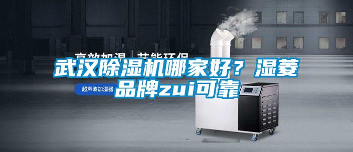 武漢除濕機(jī)哪家好？濕菱品牌zui可靠