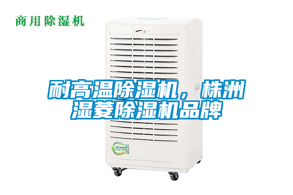 耐高溫除濕機(jī)，株洲濕菱除濕機(jī)品牌