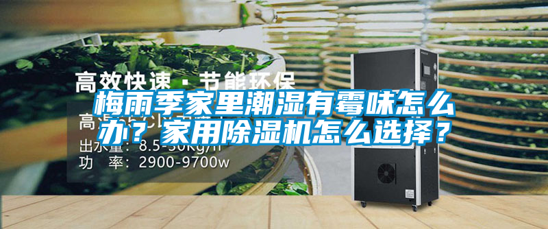 梅雨季家里潮濕有霉味怎么辦？家用除濕機(jī)怎么選擇？