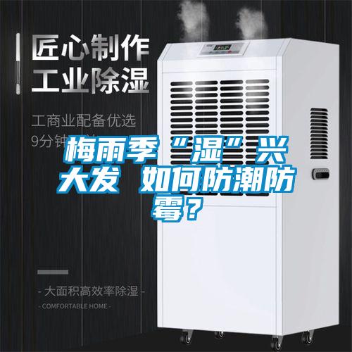 梅雨季“濕”興大發(fā) 如何防潮防霉？