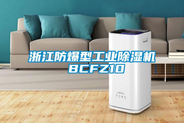 浙江防爆型工業(yè)除濕機 BCFZ10