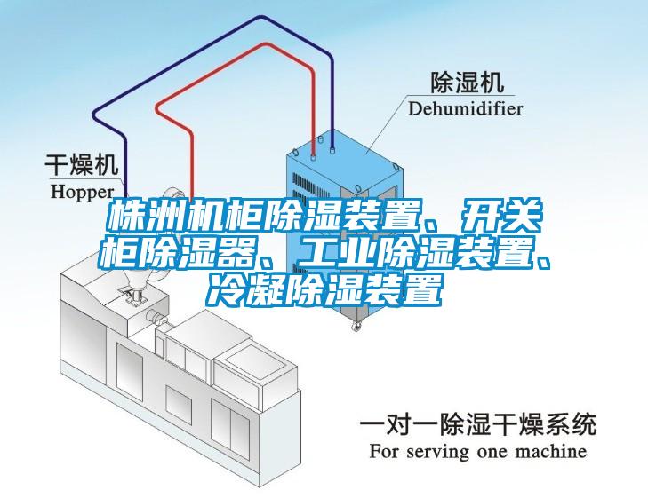 株洲機柜除濕裝置、開關(guān)柜除濕器、工業(yè)除濕裝置、冷凝除濕裝置