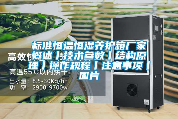 標(biāo)準恒溫恒濕養(yǎng)護箱廠家概述丨技術(shù)參數(shù)丨結(jié)構(gòu)原理丨操作規(guī)程丨注意事項丨圖片