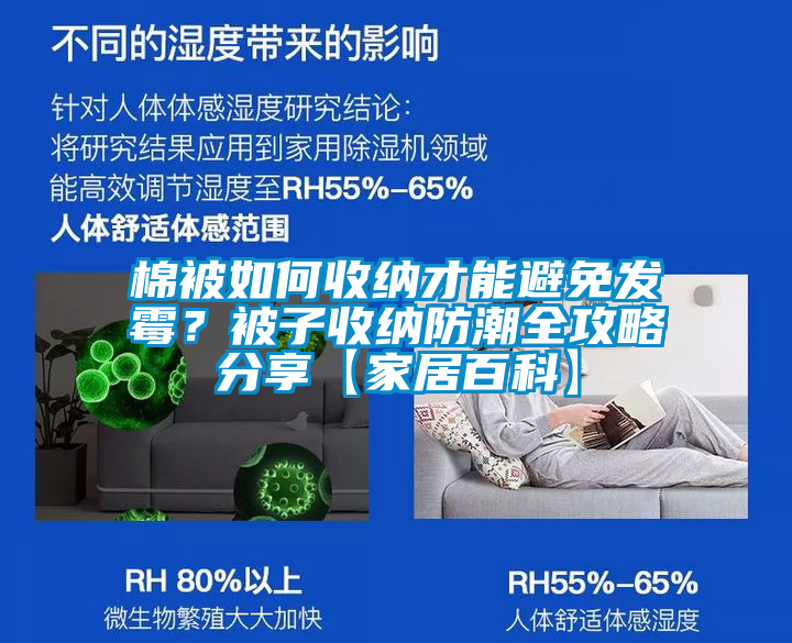 棉被如何收納才能避免發(fā)霉？被子收納防潮全攻略分享【家居百科】