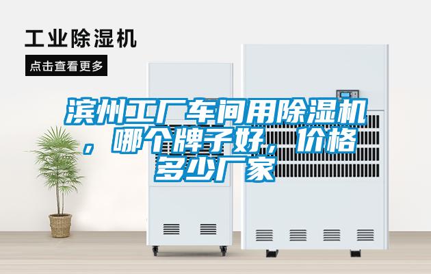 濱州工廠車間用除濕機(jī)，哪個牌子好，價(jià)格多少廠家