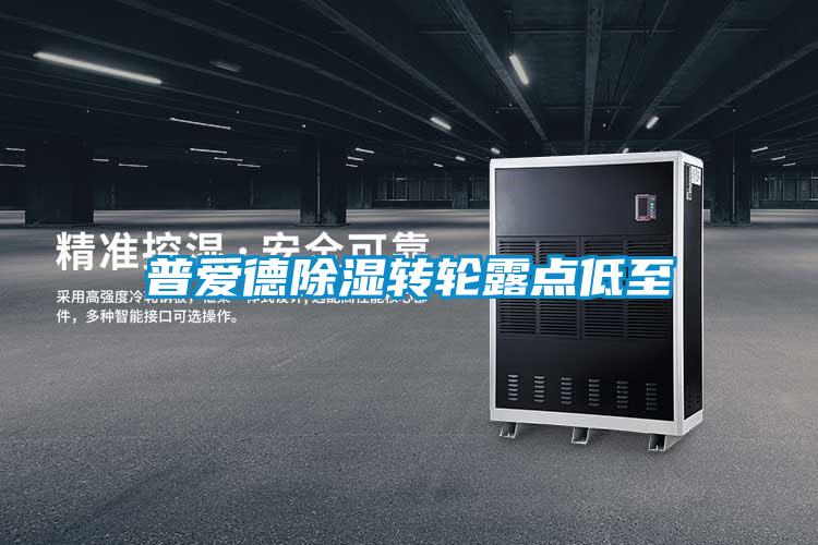 普愛德除濕轉輪露點低至