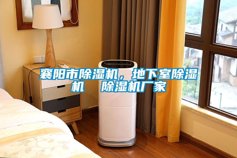 襄陽市除濕機(jī)，地下室除濕機(jī)  除濕機(jī)廠家