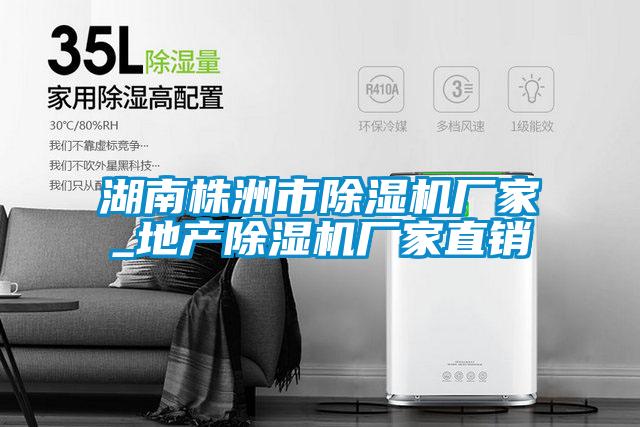 湖南株洲市除濕機廠家_地產(chǎn)除濕機廠家直銷