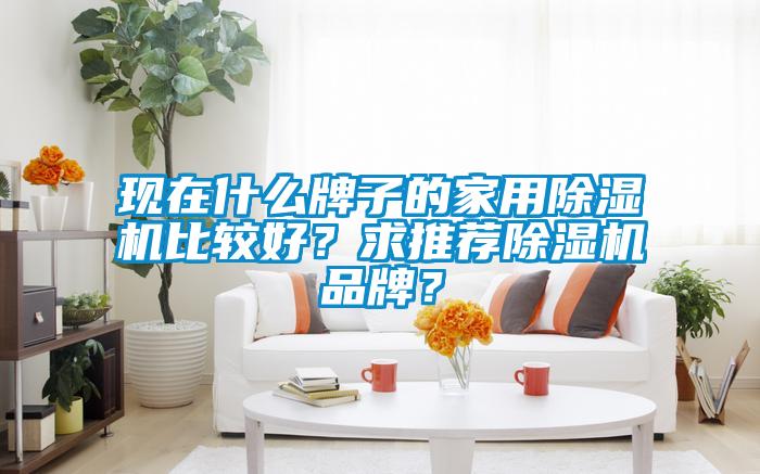 現(xiàn)在什么牌子的家用除濕機(jī)比較好？求推薦除濕機(jī)品牌？