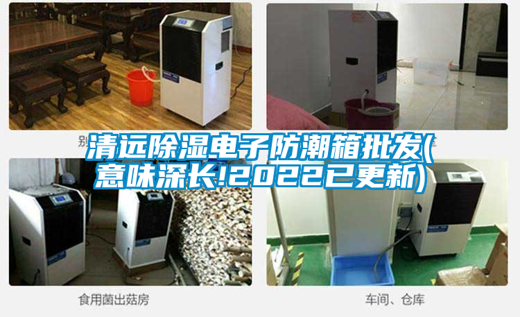 清遠除濕電子防潮箱批發(fā)(意味深長!2022已更新)