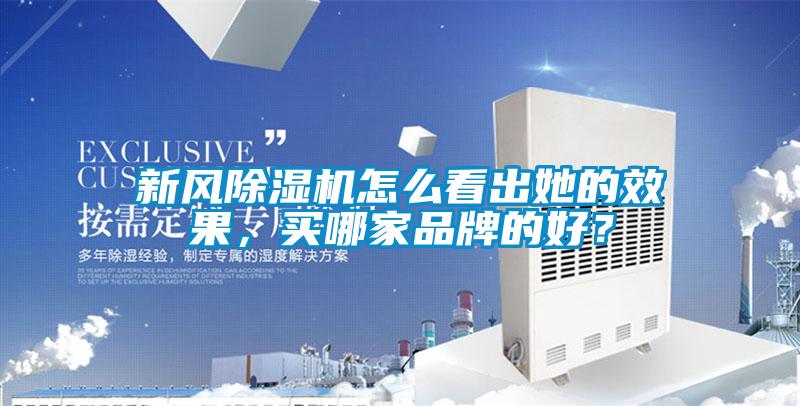 新風(fēng)除濕機(jī)怎么看出她的效果，買哪家品牌的好？
