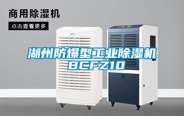 湖州防爆型工業(yè)除濕機 BCFZ10
