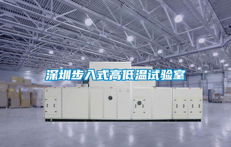 深圳步入式高低溫試驗(yàn)室
