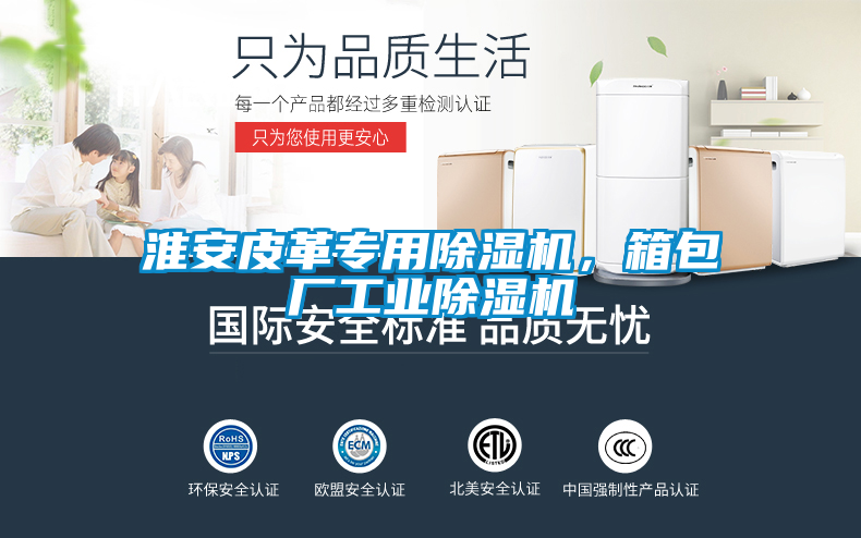淮安皮革專用除濕機，箱包廠工業(yè)除濕機