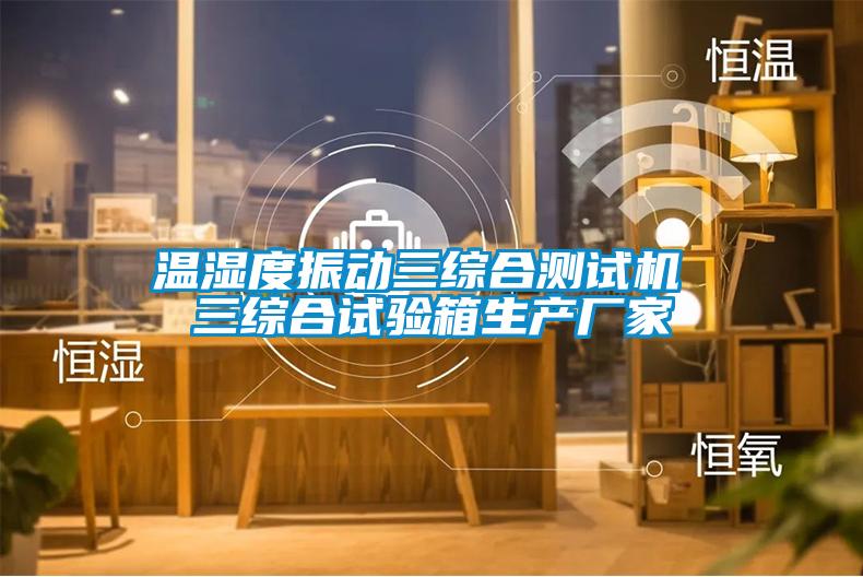 溫濕度振動(dòng)三綜合測試機(jī) 三綜合試驗(yàn)箱生產(chǎn)廠家